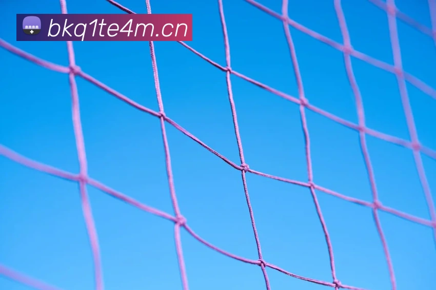 云开app官网登录入口平台生态图