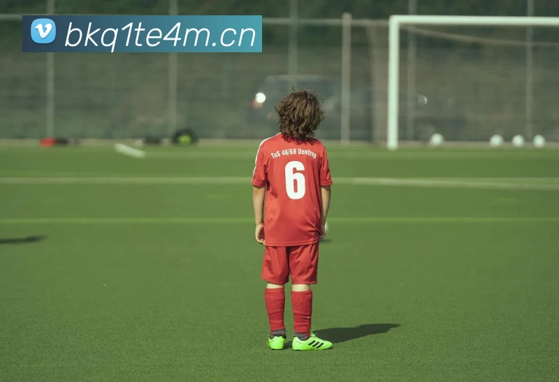 云开app官网登录入口全站App